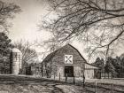 At Home in the Barn