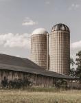 Standing Farm Sisters