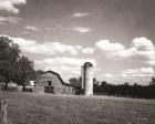 Peaceful Farm