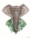 Elephant in Eye Glasses