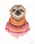 Sloth in a Sweater