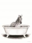 Zebra in Tub