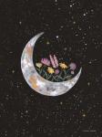 Flowers on Crescent Moon