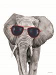 Looking Cool Elephant