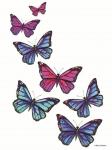Vibrant Flying Butterflies