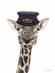 Train Conductor Giraffe