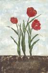 Red Tulips