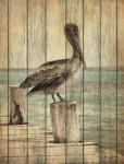 Vintage Pelican I