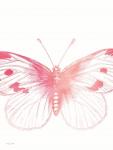 Pink Butterfly III