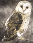 Snowy Owl 2