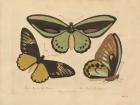 Vintage Butterflies 3