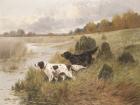 The Hunt
