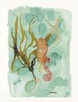 Seahorse 2