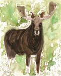 Pacific Coast Wildlife 3