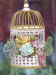 Succulent Bird House