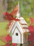 Cardinal Bird House