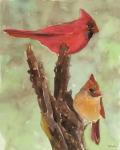 Cardinal 1