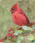 Cardinal 2