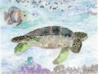 Swimming Sea Turtle