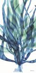 Soft Seagrass in Blue 1