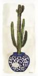 Cacti in Blue Pot 2