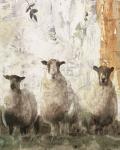 Three Sheep