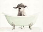 Vintage Tub with Goat