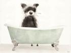 Vintage Tub with Racoon