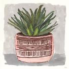 Potted Agave I