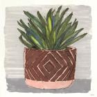 Potted Agave II