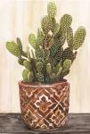 Potted Cactus II