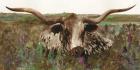 Texas Longhorn in Field