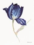 Blue Flower Stem II