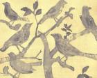Yellow-Gray Birds 2