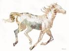 Navajo Horse 1