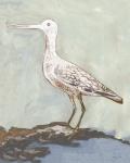 Sea Bird 2