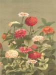 Antique Botanical Collection 1