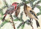 Bird and Branch Duet