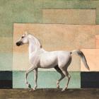 Horse in Abstract Field