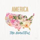 America the Beautiful