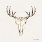 Boho Steer Head I