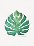 Watercolor Monstera Leaf