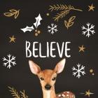 Believe Deer