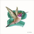 Hummingbird I