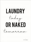 Laundry Today or Naked Tomorrow