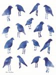 Bleu Birds