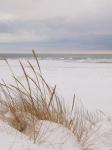 Peaceful Beach