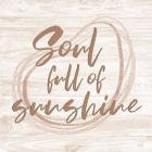 Soul Full of Sunshine