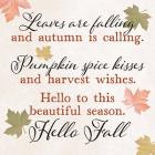Leaves are Falling