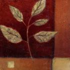 Crimson Leaf Study I